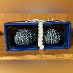 Blue Urchin Salt and Pepper Set  NIB